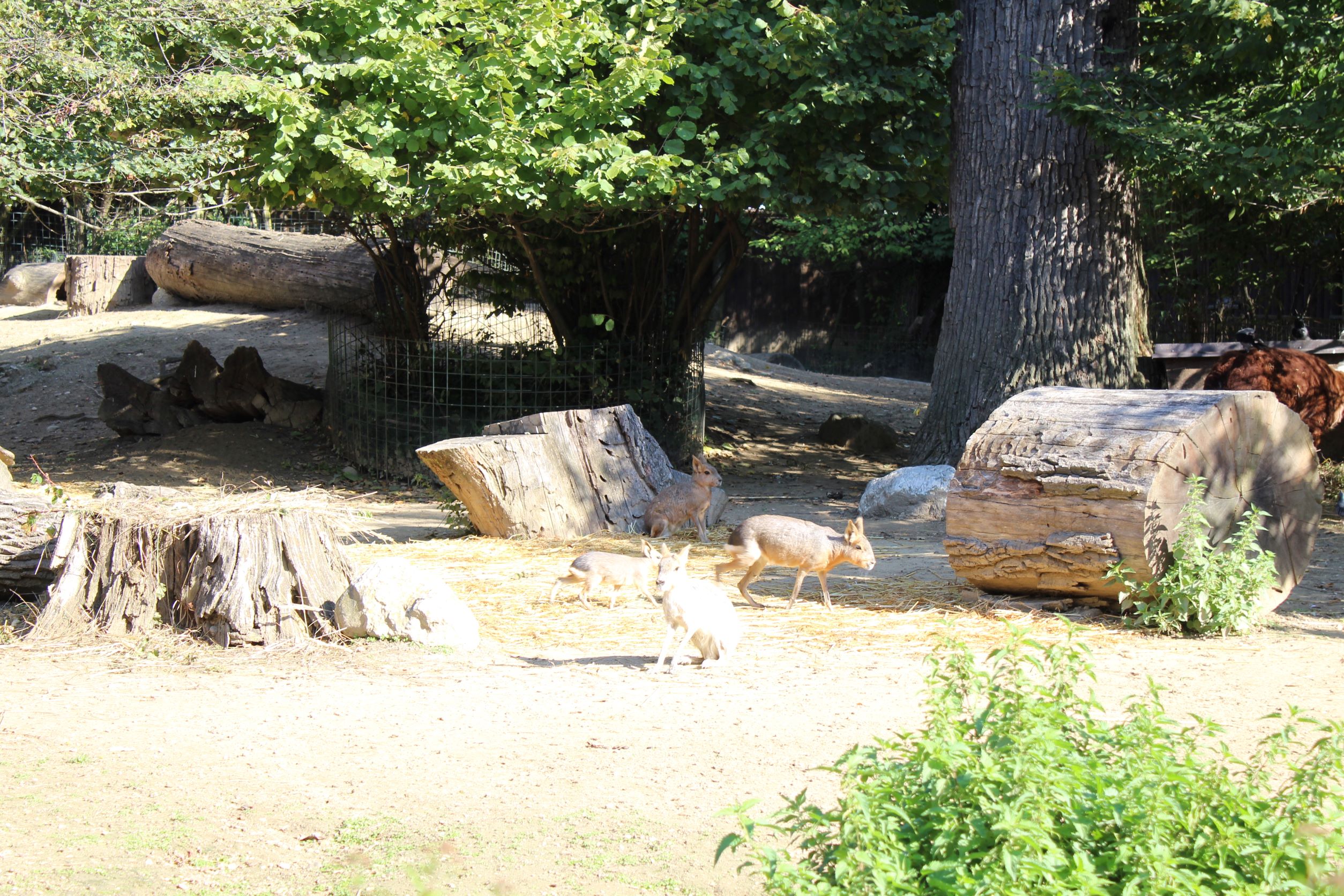 O&Scaron; Ivanja Reka