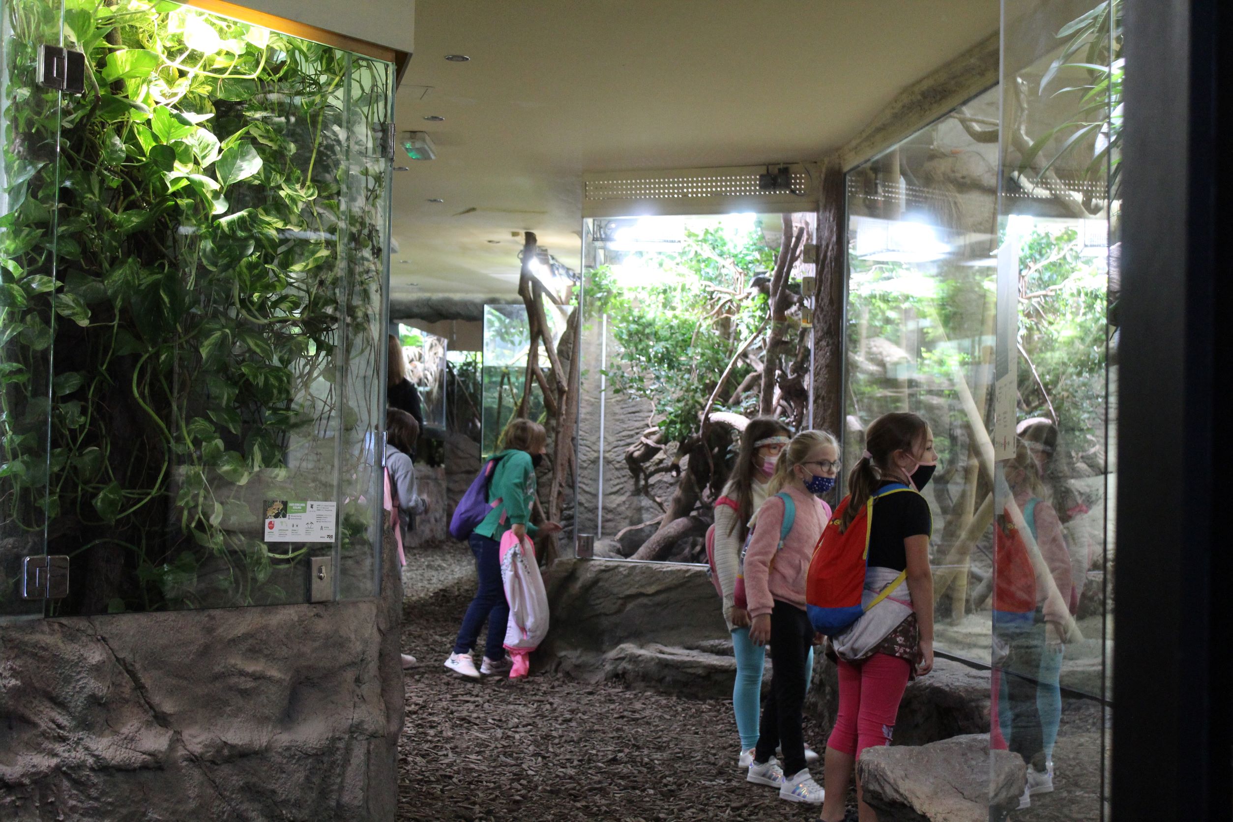 O&Scaron; Ivanja Reka